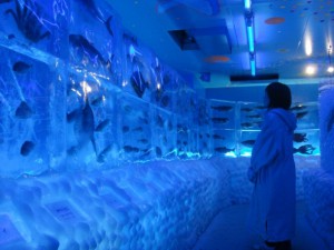 Замороженный аквариум